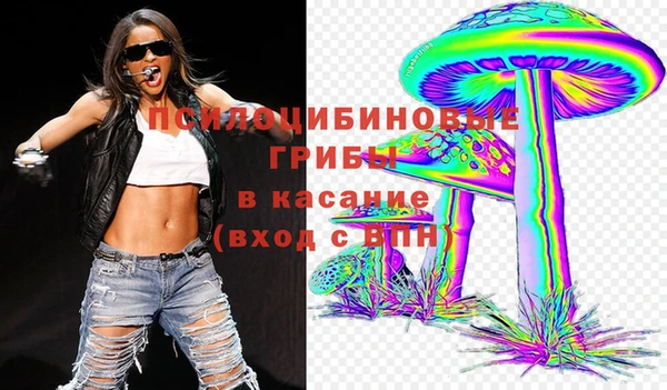 прущая мука Верея