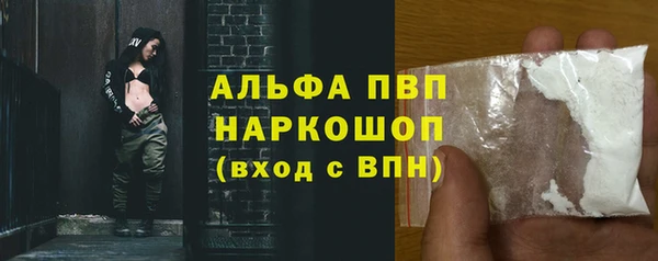 PSILOCYBIN Белокуриха