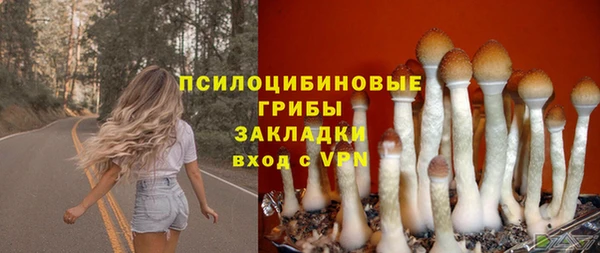 дмт Сясьстрой