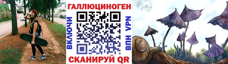 Псилоцибиновые грибы мицелий  блэк спрут рабочий сайт  Истра 